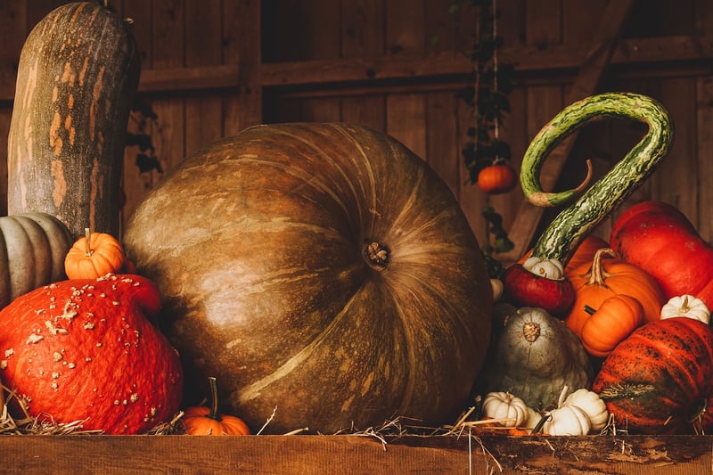 Harvest Festival Activities
